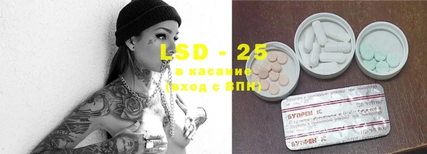 прущие грибы Арсеньев