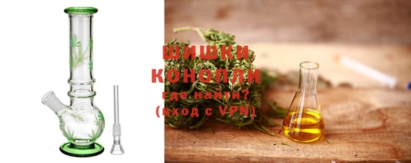 прущие грибы Арсеньев