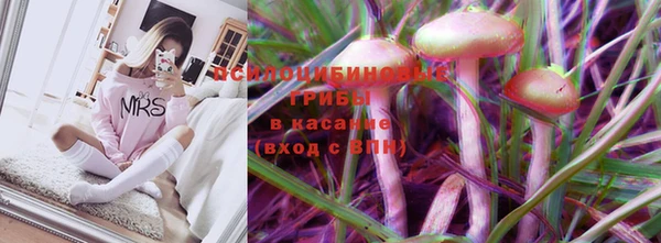 прущие грибы Арсеньев